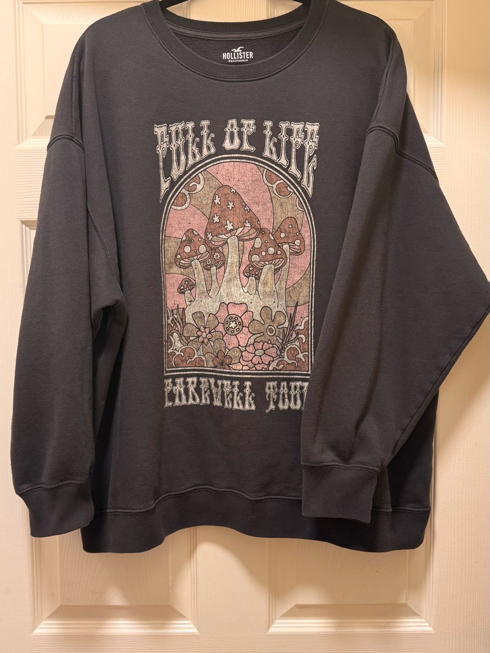Hollister Women’s Dark Gray Graphic Crewneck Sweatshirt - Mushroom Design